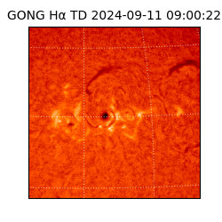 gong - 2024-09-11T09:00:22