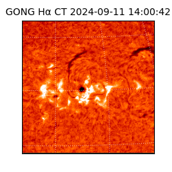 gong - 2024-09-11T14:00:42