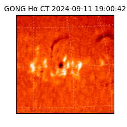 gong - 2024-09-11T19:00:42