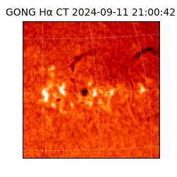 gong - 2024-09-11T21:00:42