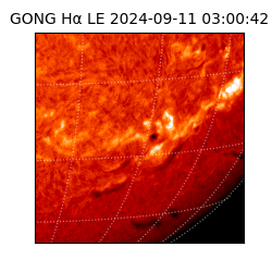gong - 2024-09-11T03:00:42