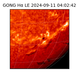 gong - 2024-09-11T04:02:42