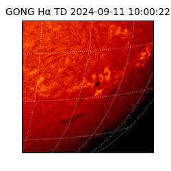 gong - 2024-09-11T10:00:22