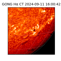 gong - 2024-09-11T16:00:42