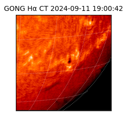gong - 2024-09-11T19:00:42