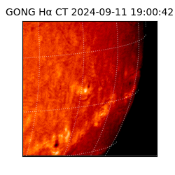 gong - 2024-09-11T19:00:42