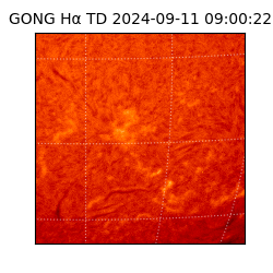 gong - 2024-09-11T09:00:22