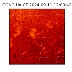 gong - 2024-09-11T12:00:42