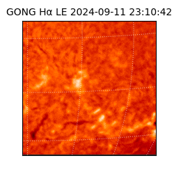 gong - 2024-09-11T23:10:42