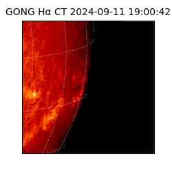 gong - 2024-09-11T19:00:42