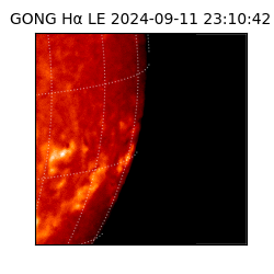 gong - 2024-09-11T23:10:42