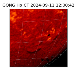 gong - 2024-09-11T12:00:42