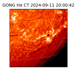 gong - 2024-09-11T20:00:42