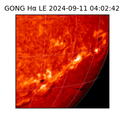 gong - 2024-09-11T04:02:42