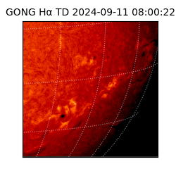 gong - 2024-09-11T08:00:22