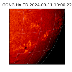 gong - 2024-09-11T10:00:22