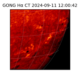 gong - 2024-09-11T12:00:42