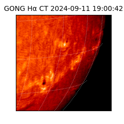 gong - 2024-09-11T19:00:42
