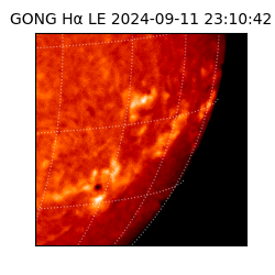 gong - 2024-09-11T23:10:42