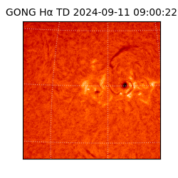 gong - 2024-09-11T09:00:22