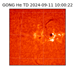 gong - 2024-09-11T10:00:22