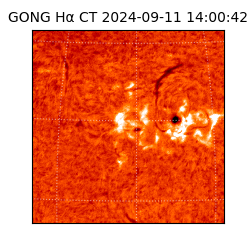 gong - 2024-09-11T14:00:42