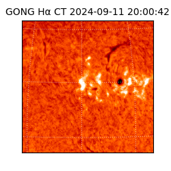 gong - 2024-09-11T20:00:42