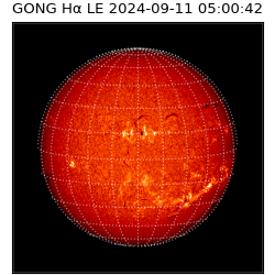 gong - 2024-09-11T05:00:42