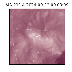 saia - 2024-09-12T09:00:09.626000