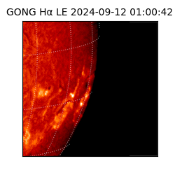 gong - 2024-09-12T01:00:42