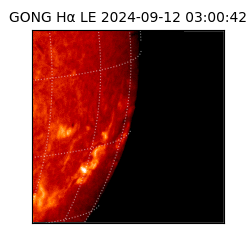 gong - 2024-09-12T03:00:42