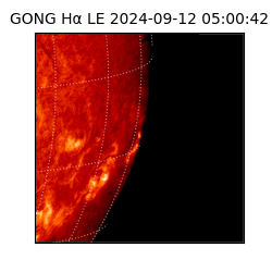 gong - 2024-09-12T05:00:42