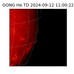 gong - 2024-09-12T11:00:22
