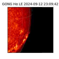 gong - 2024-09-12T23:09:42