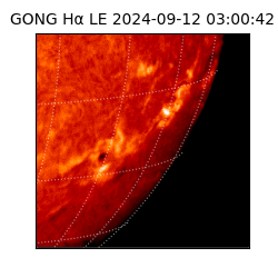 gong - 2024-09-12T03:00:42