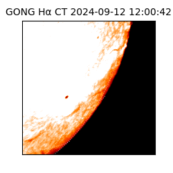 gong - 2024-09-12T12:00:42
