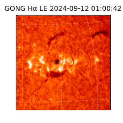 gong - 2024-09-12T01:00:42