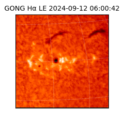 gong - 2024-09-12T06:00:42