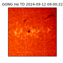 gong - 2024-09-12T09:00:22