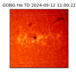 gong - 2024-09-12T11:00:22