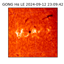 gong - 2024-09-12T23:09:42
