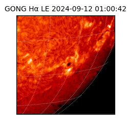 gong - 2024-09-12T01:00:42