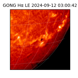gong - 2024-09-12T03:00:42