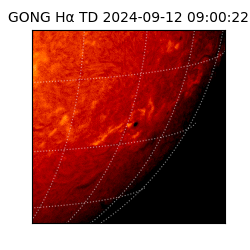 gong - 2024-09-12T09:00:22