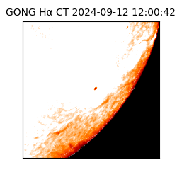 gong - 2024-09-12T12:00:42