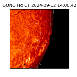 gong - 2024-09-12T14:00:42