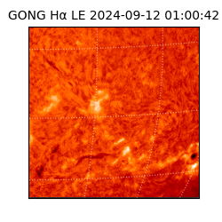 gong - 2024-09-12T01:00:42