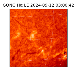 gong - 2024-09-12T03:00:42
