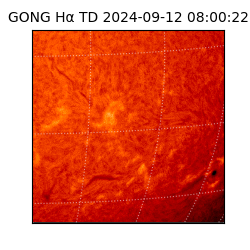 gong - 2024-09-12T08:00:22
