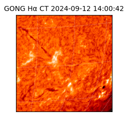 gong - 2024-09-12T14:00:42